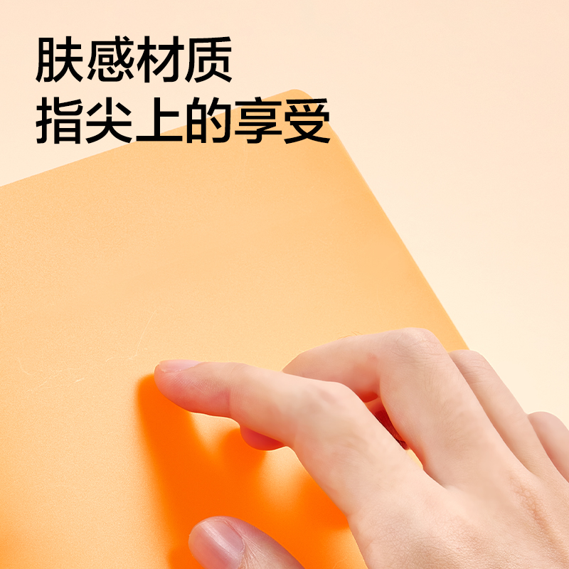 紐賽NS361-A5雙孔資料收納夾(混)(個）