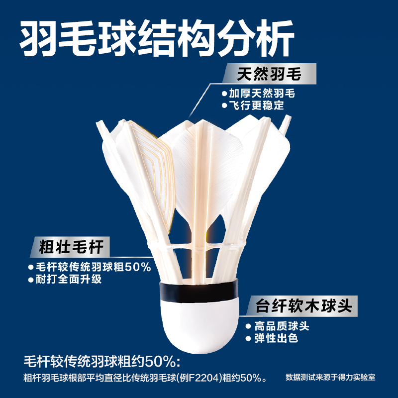 安格耐特FH111-6羽毛球-粗桿羽球(6只裝)(白)(筒)